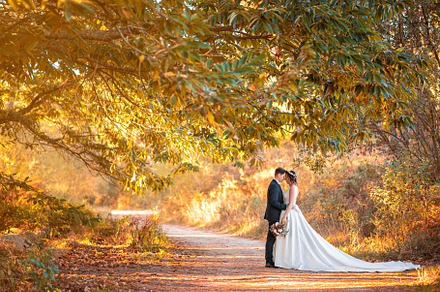 Just married couple looking at each other on a forest, a Person Photo by rubenchase