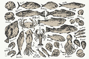 Fish and seafood sketches, a Food Illustration by katya.bogina (Thumbnail 2 of 3)