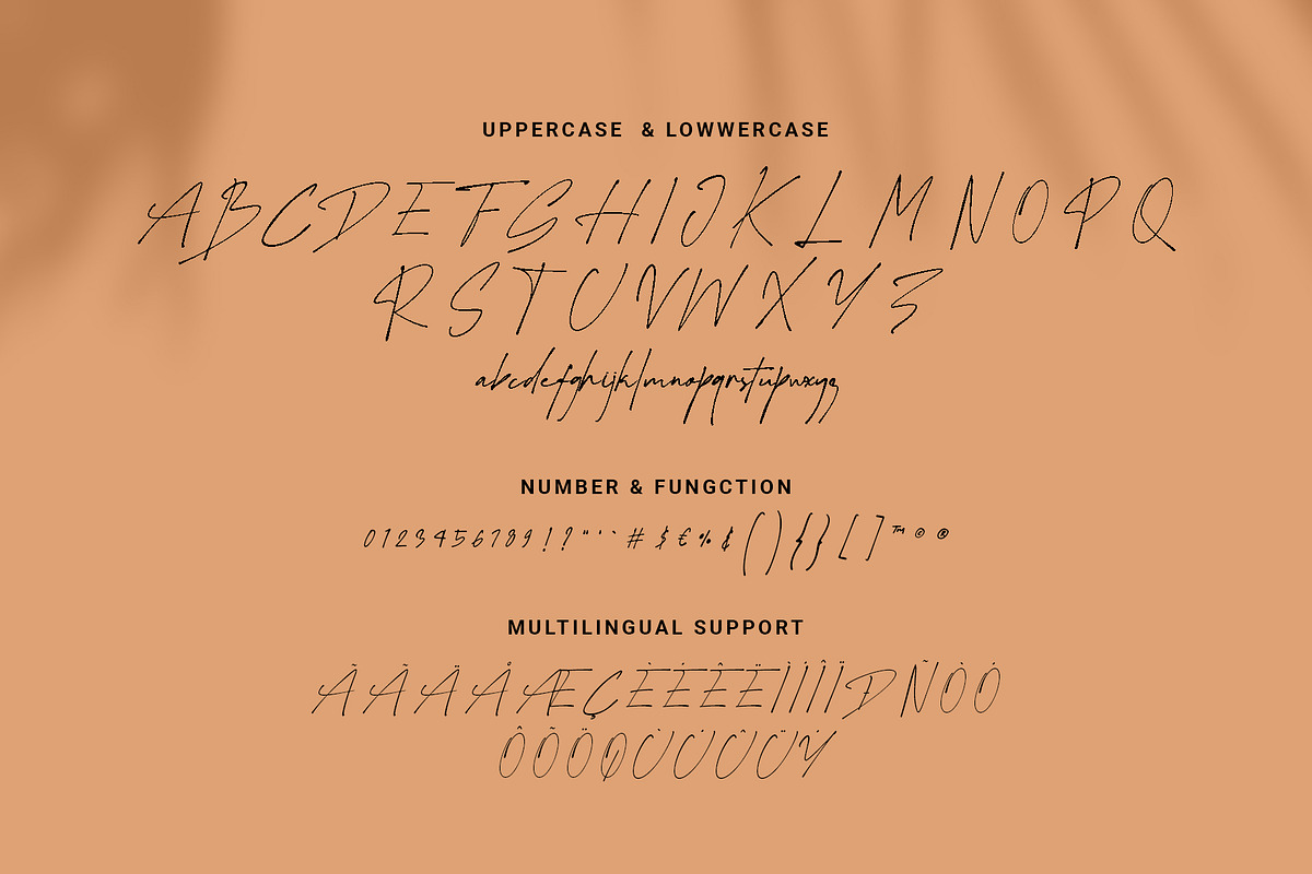 Sunset Beauty - Stylish Script Font, a Script Font by RHD Creative Studio (Photo 11 of 12)