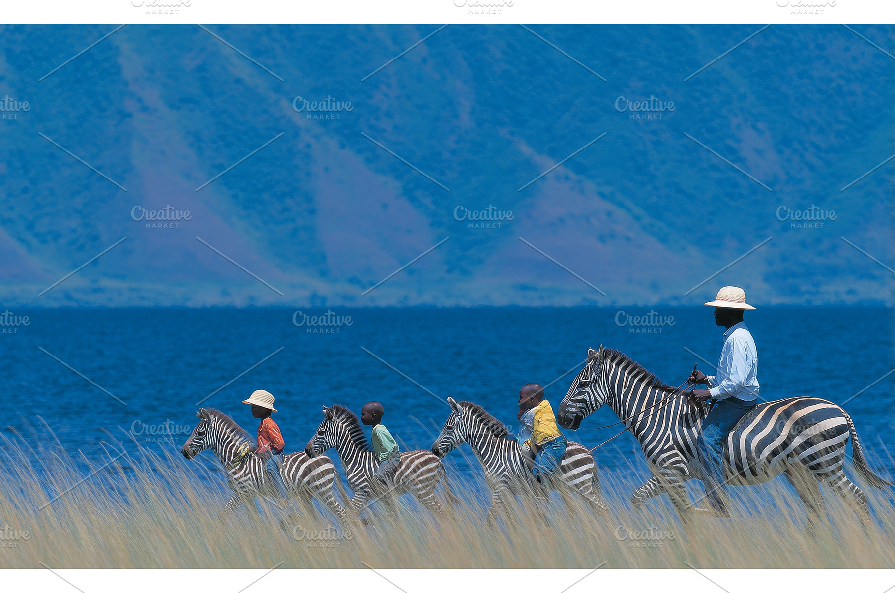A herd of zebras is running across, an Animal Photo by ZinetroN