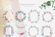 Cotton Botany Watercolor Collection, a Decorative Illustration by Volha Studio (Thumbnail 5 of 9)