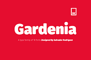 Gardenia Typeface 85%OFF, a Font by W Type Foundry (Thumbnail 1 of 14)