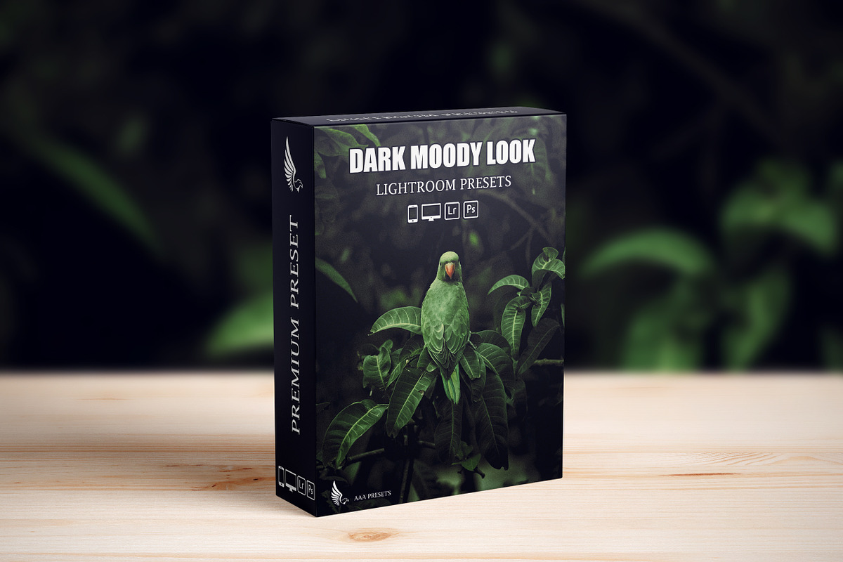 Dark Moody New Look Lightroom Preset, a Preset Add-On by AAA Presets (Photo 2 of 21)