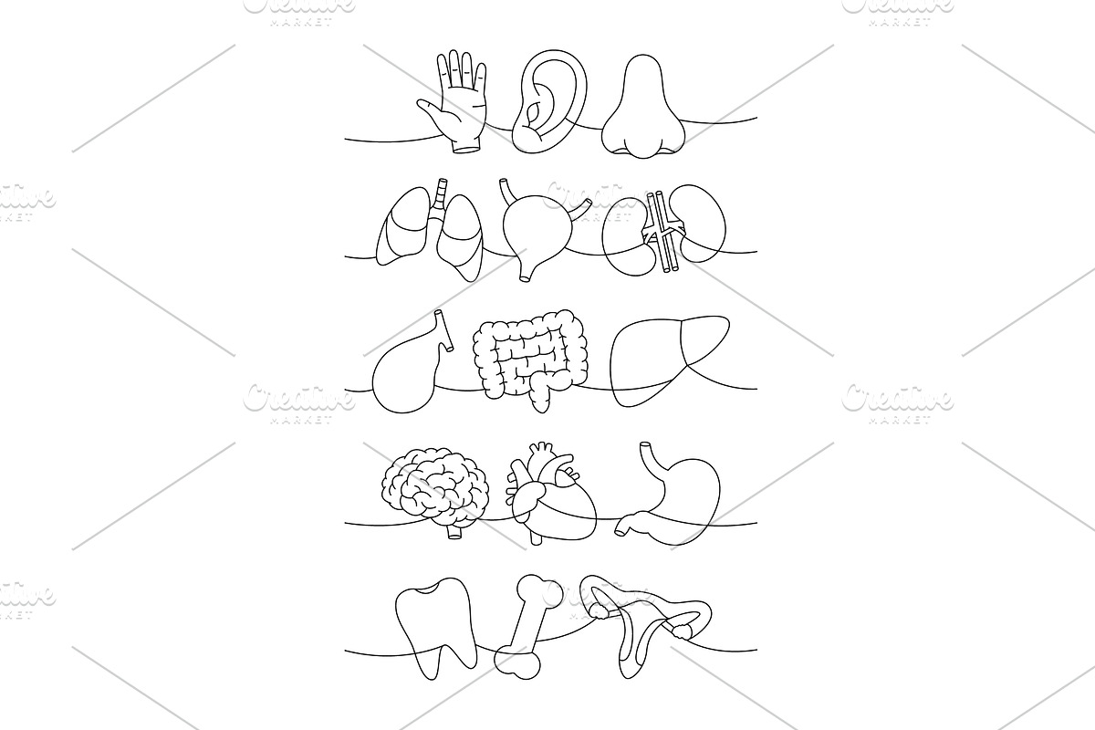 Human organs set one line continuous, a Healthcare Illustration by GraphiShop