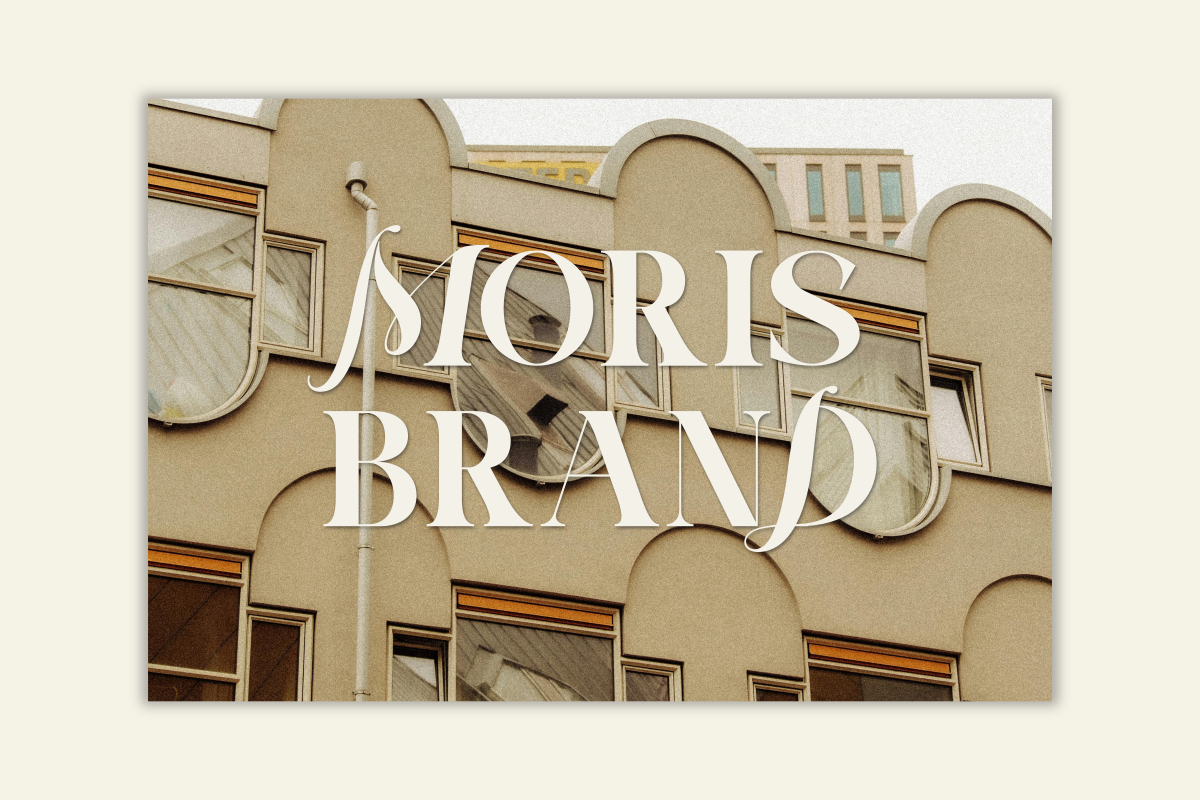Black Monde, a Serif Font by Zafiratype (Photo 3 of 15)