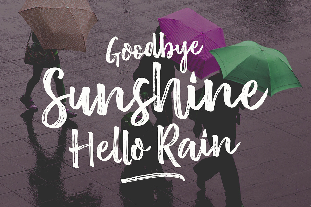 Shellow Brush, a Script Font by Stripes Studio (Photo 5 of 7)