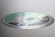 Wels Catfish reserve, a Branding & Logo Template by LuisFaus (Thumbnail 2 of 3)