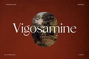 Vigosamine Luxury Serif Font, a Serif Font by UICreative (Thumbnail 1 of 12)