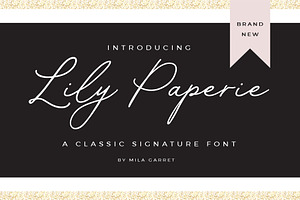 Lily Paperie Signature Logo Script