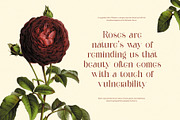 Gilgha Elegant Ligature Serif Font, a Serif Font by Perfectype (Thumbnail 3 of 8)