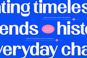 Newstan Tall Condensed Sans Serif, a Sans Serif Font by timelesstype.co (Thumbnail 4 of 10)