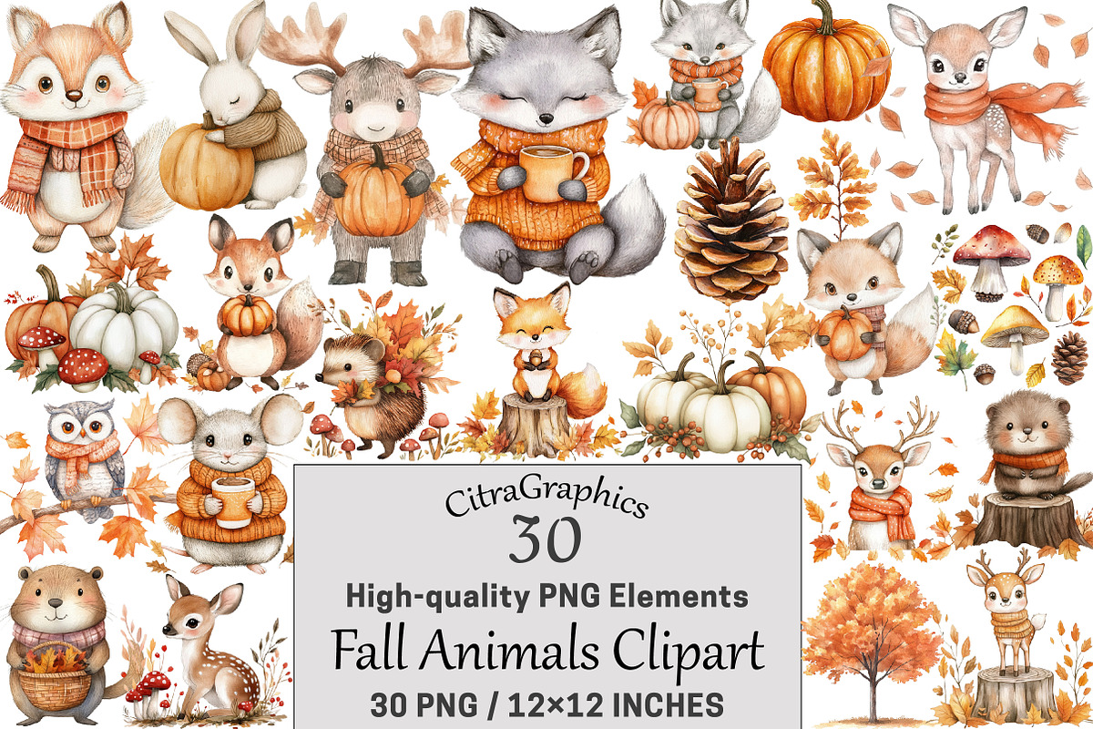 Fall Animals Clipart, a Seasonal Illustration by CitraGraphics (Photo 1 of 4)