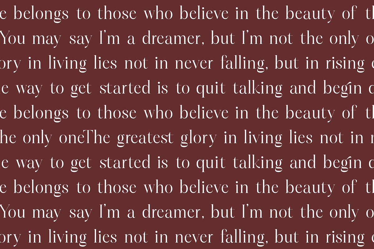 Hamster Modern Serif Font, a Serif Font by Letterena Studios (Photo 5 of 15)