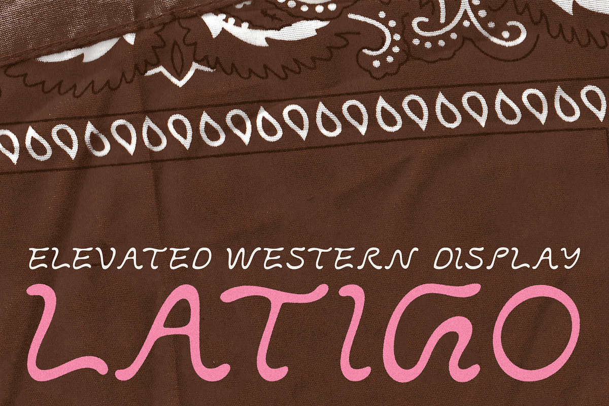LATIGO by Abby Leighton, a Script Font by Abby Leighton Studio (Photo 1 of 3)