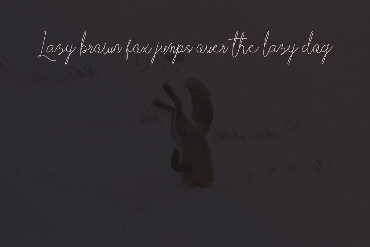 Elabama - Signature Font, a Script Font by Mojibam (Photo 2 of 5)