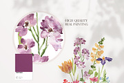 Dreaming Watercolor WILDFLOWER, a Decorative Illustration by Beigetime (Thumbnail 2 of 14)
