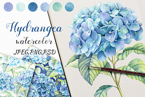 Watercolor Blue Hydrangea