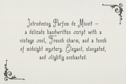 ParfumDeMinuit Modern Vintage Script, a Sans Serif Font by Struvictory.art (Thumbnail 2 of 9)