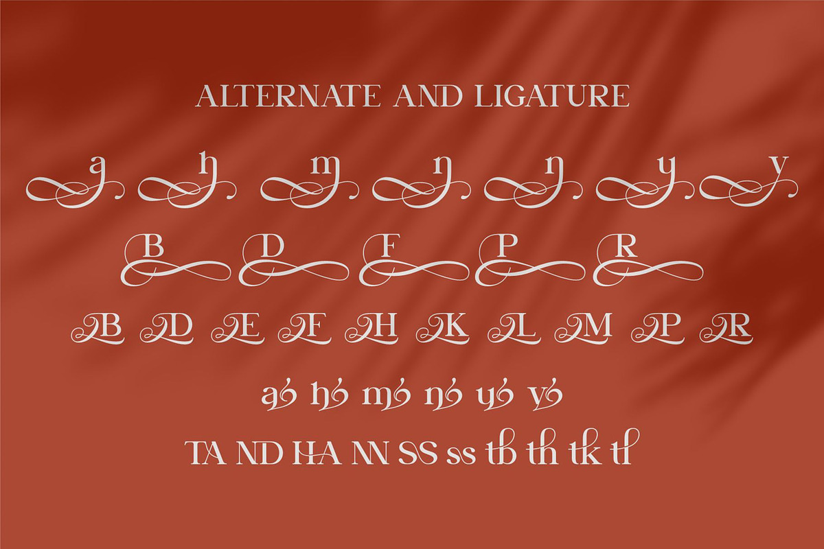 Daisya || Modern Serif Font, a Serif Font by Ermedia Studio (Photo 10 of 11)