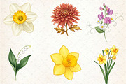 Watercolor Birth Month Flowers Clipa, an Illustration by Libby Wishes (Thumbnail 5 of 6)