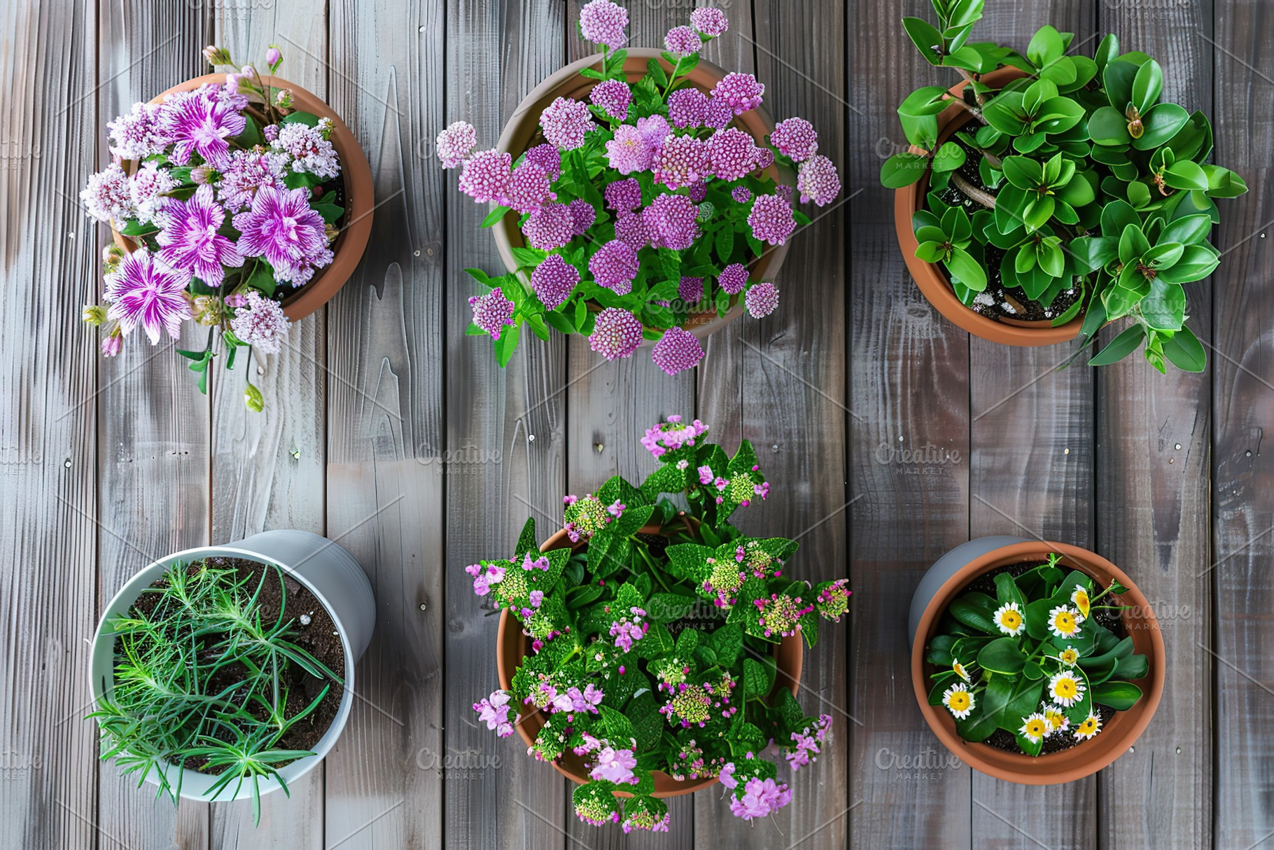 Flat lay of different flowers in pots on grey wooden table, a Food & Drink Photo by AlyaAnd