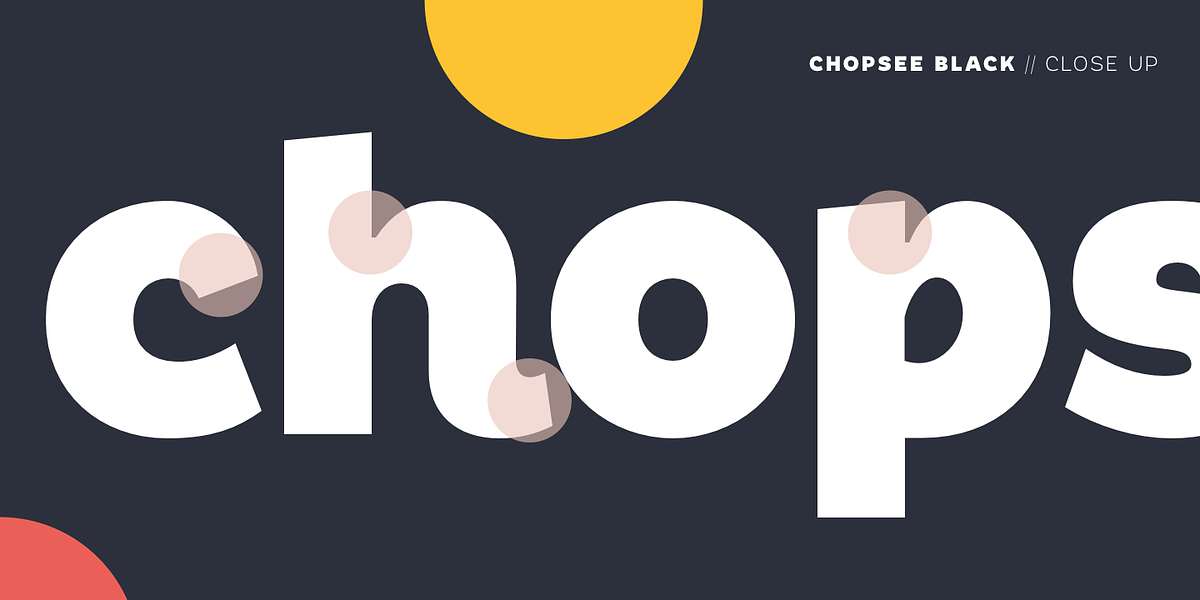 Chopsee, a Sans Serif Font by TypeUnion (Photo 4 of 9)