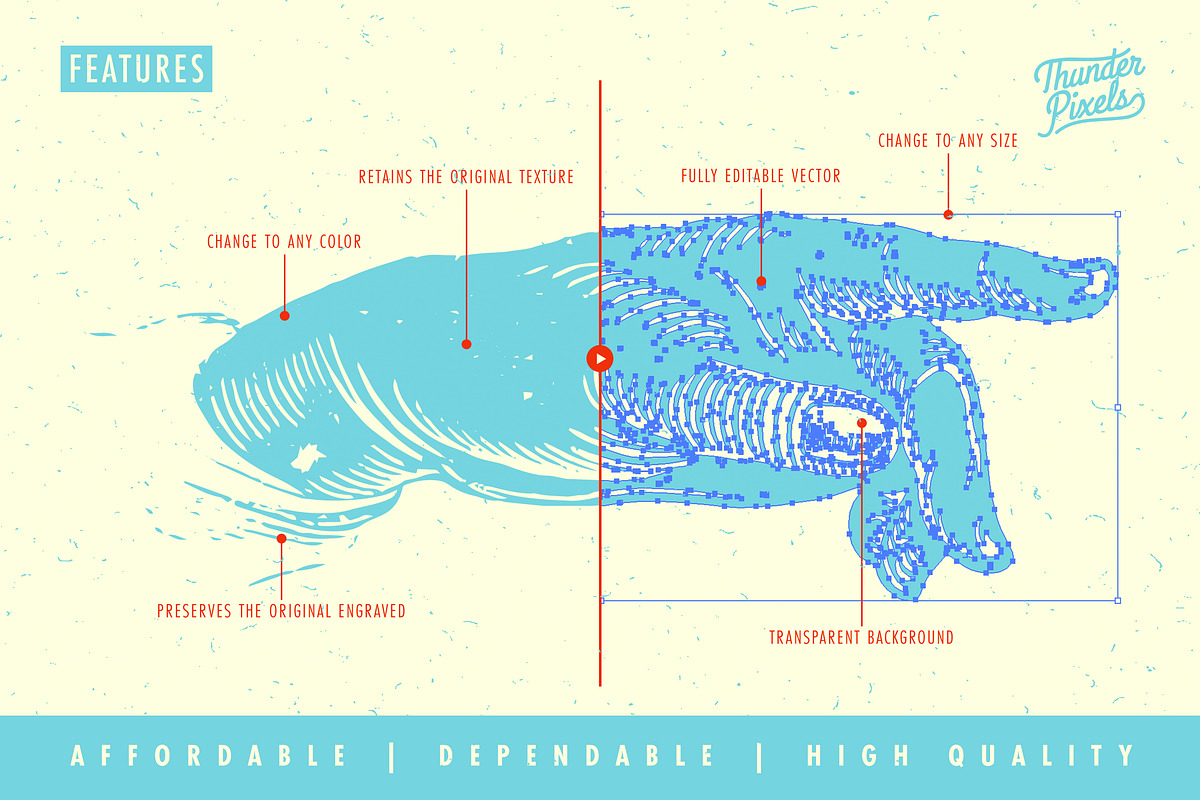 Hand Pointers & Indexes - BRMV 01, an Illustration by Thundr Co. (Photo 2 of 12)