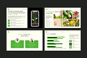 Agriculture Presentation Template, a Presentation Template by E-Type (Thumbnail 5 of 6)