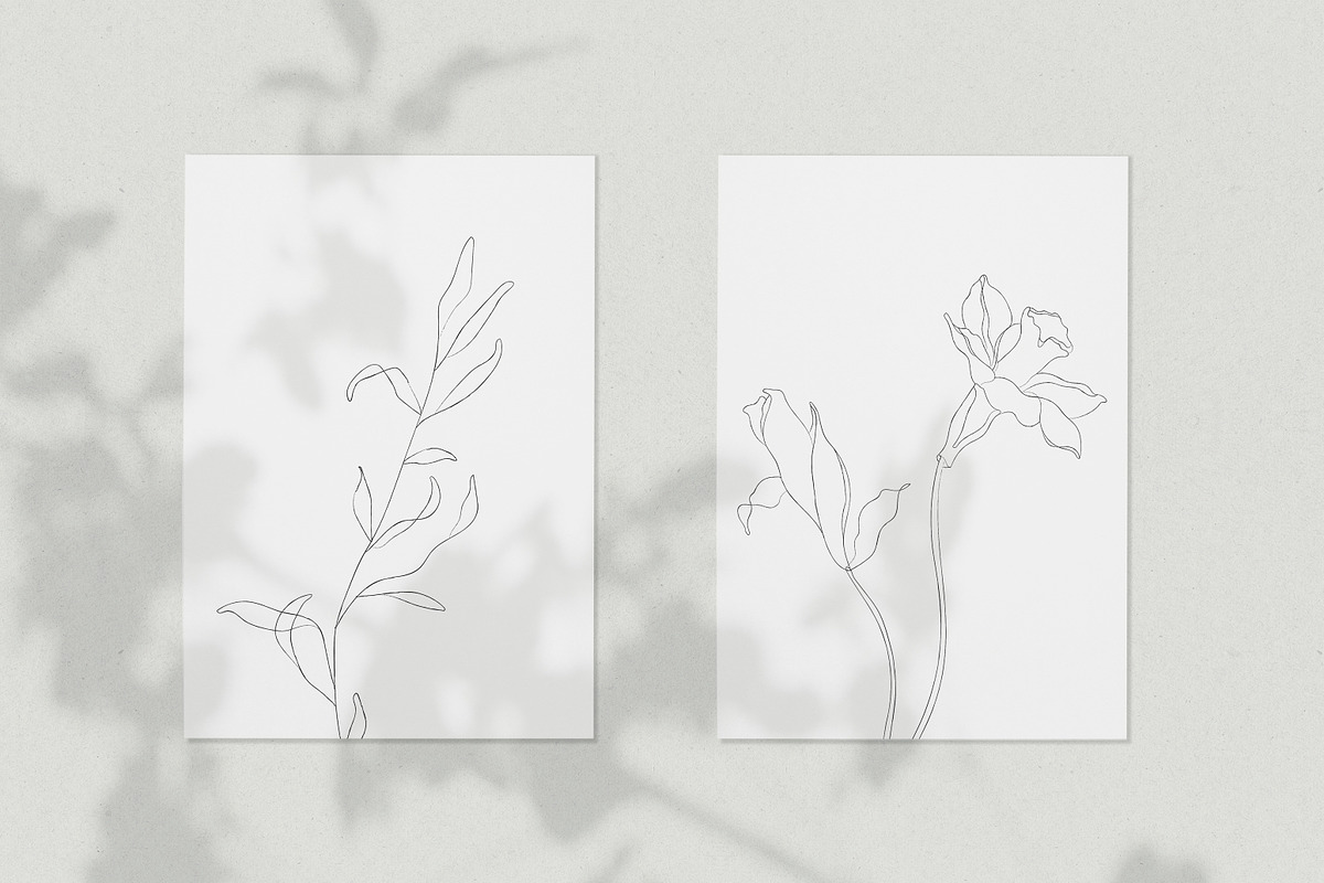 Minimalist Botanical Line Sketches, a Decorative Illustration by Galerie Design Studio (Photo 2 of 6)