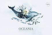 OCEANIA Watercolor set, an Animal Illustration by Anastezia Luneva (Thumbnail 1 of 12)