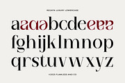Regata - Elegant Serif Display Font, a Serif Font by Flawless And Co (Thumbnail 9 of 10)