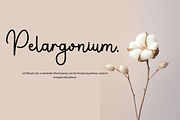Pauline Script, a Handwritten Font by FreshTypeINK (Thumbnail 2 of 8)