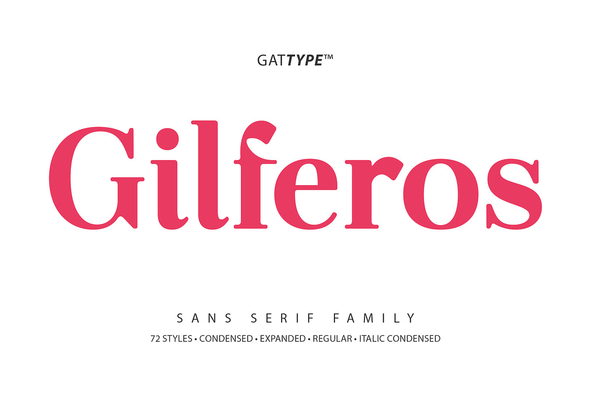 Gilferos, a Serif Font by Gatype (Photo 1 of 16)