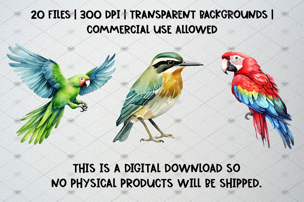 Watercolor Tropical Birds Clipart, an Animal Illustration by CropUp Creative (Photo 5 of 5)