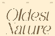 CS Asena Knitted, a Serif Font by Craft Supply Co. (Thumbnail 2 of 8)