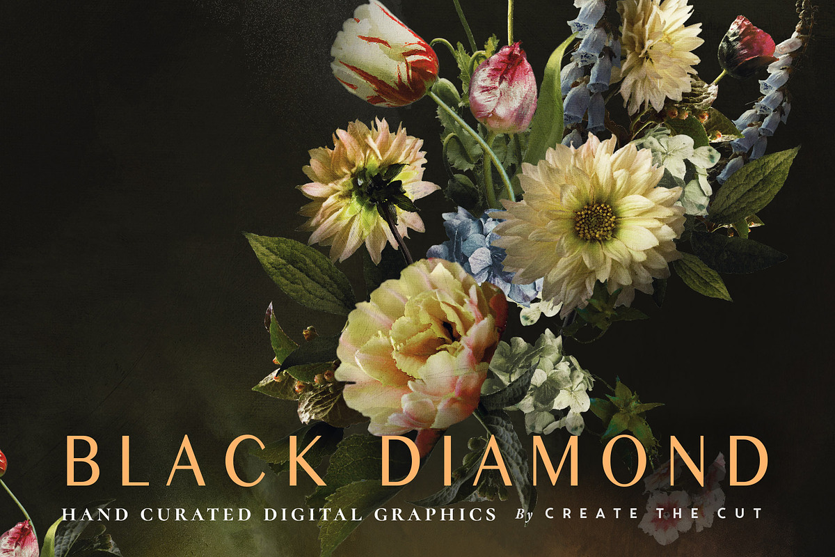 Black Diamond - Digital Graphics, an Illustration by Create The Cut (Photo 1 of 14)