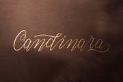 Candinara - Elegant Calligraphy, a Script Font by Ginart (Thumbnail 6 of 11)