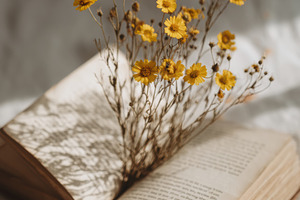Open book with pressed flowers, a School & Education Photo by Virgo Studio
