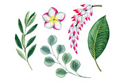 Tropical plants set, an Illustration by Watercolor life (Thumbnail 9 of 13)