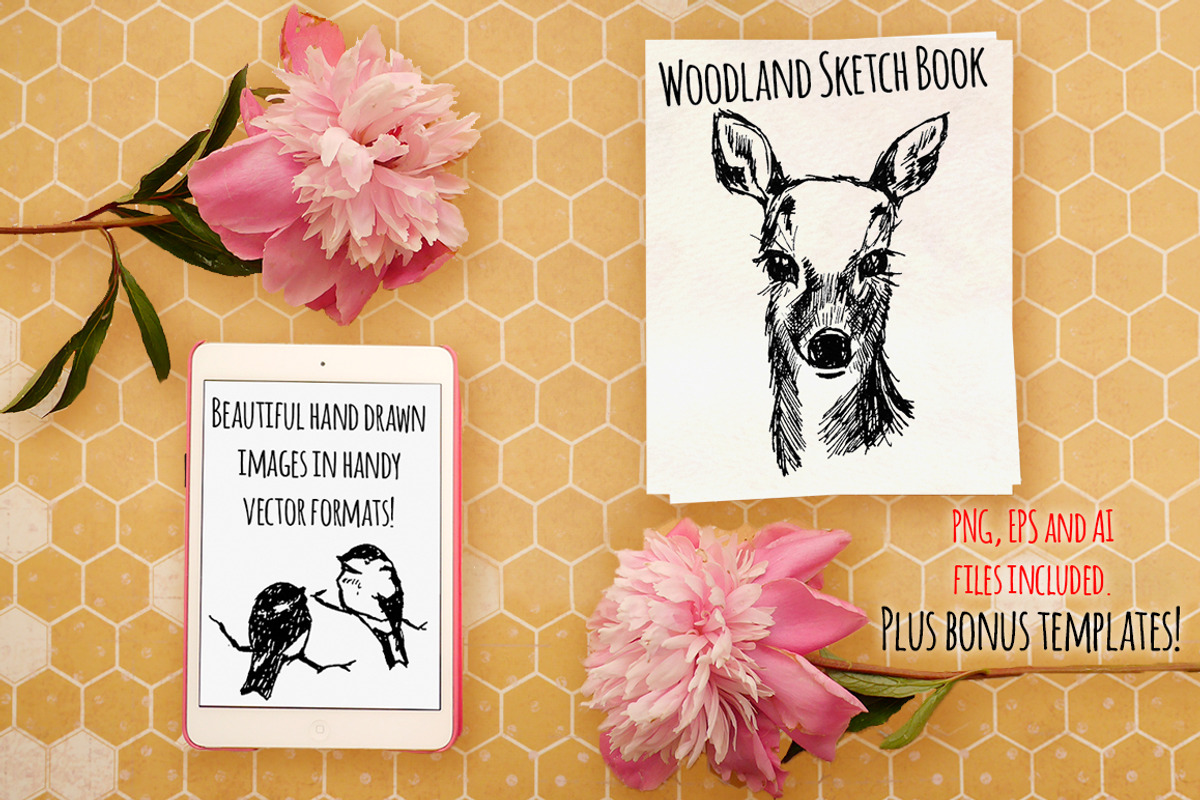 18 Woodland Animal Sketches Vectors, an Animal Illustration by Violet LeBeaux (Photo 2 of 4)