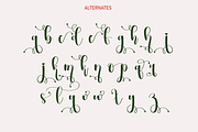 Farmhouse | Script font, a Script Font by Scratchones (Thumbnail 7 of 8)
