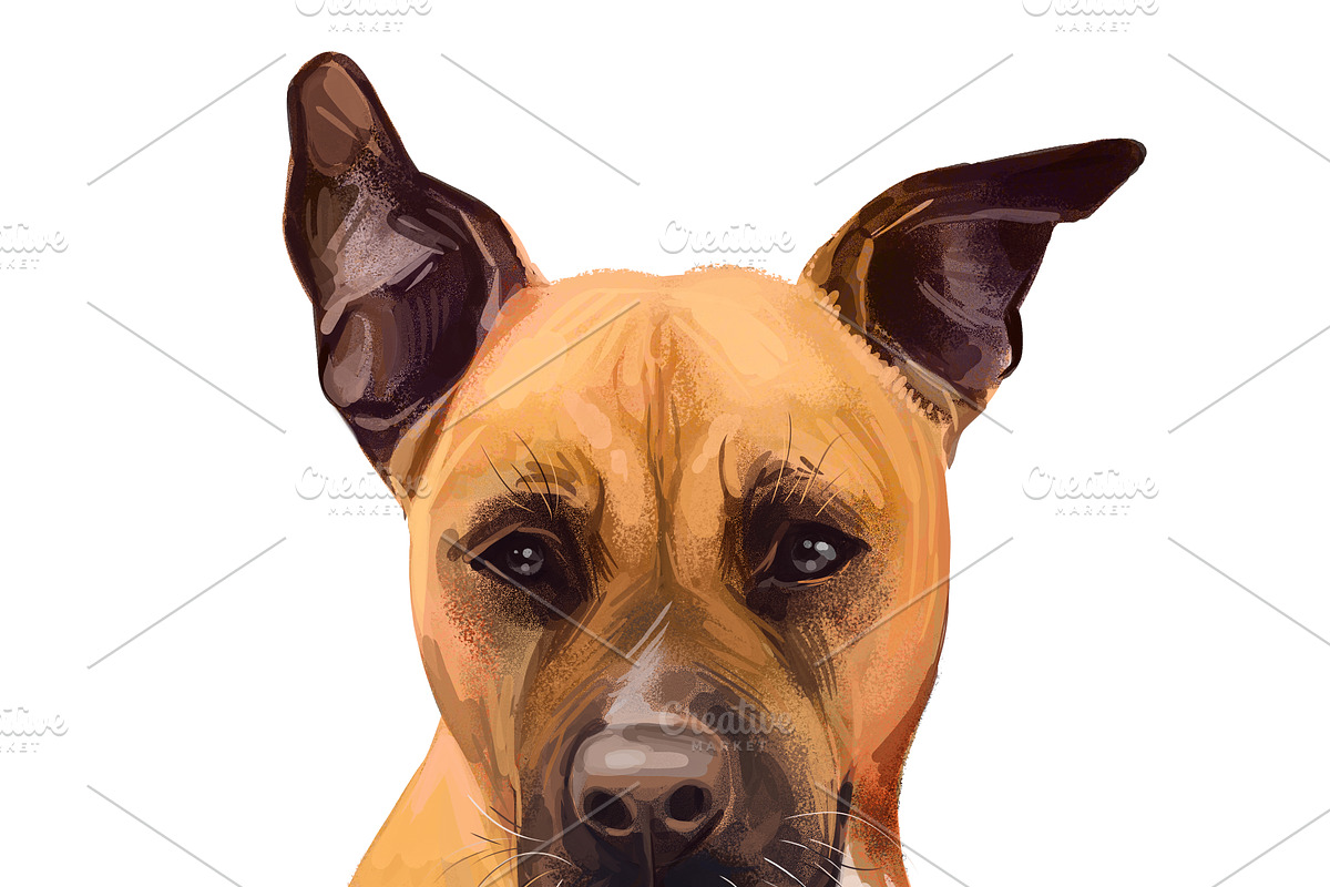 100 Dog Breeds Popular in the World, an Illustration by Dneprstock (Photo 4 of 5)
