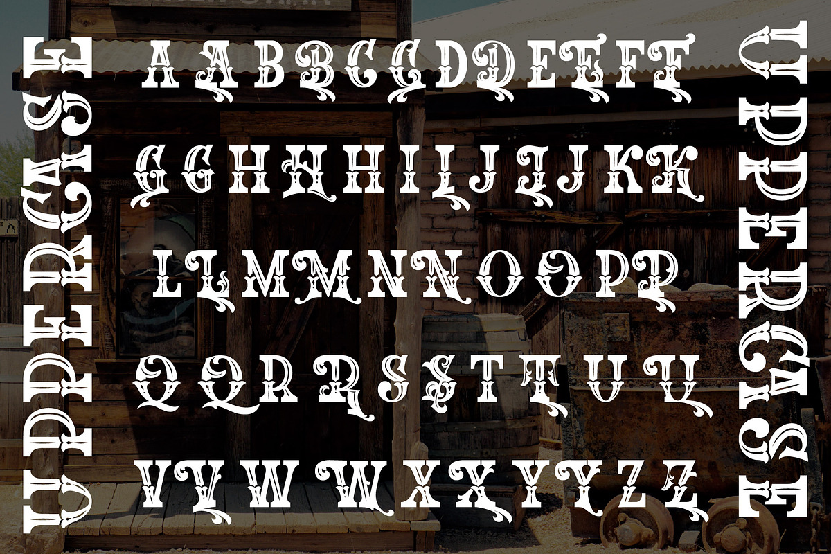 The Western Gold, a Serif Font by Burntilldead (Photo 5 of 11)