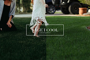 Sage, Moody Lightroom & ACR Presets, an Action Add-On by Darling Josephine (Thumbnail 2 of 27)