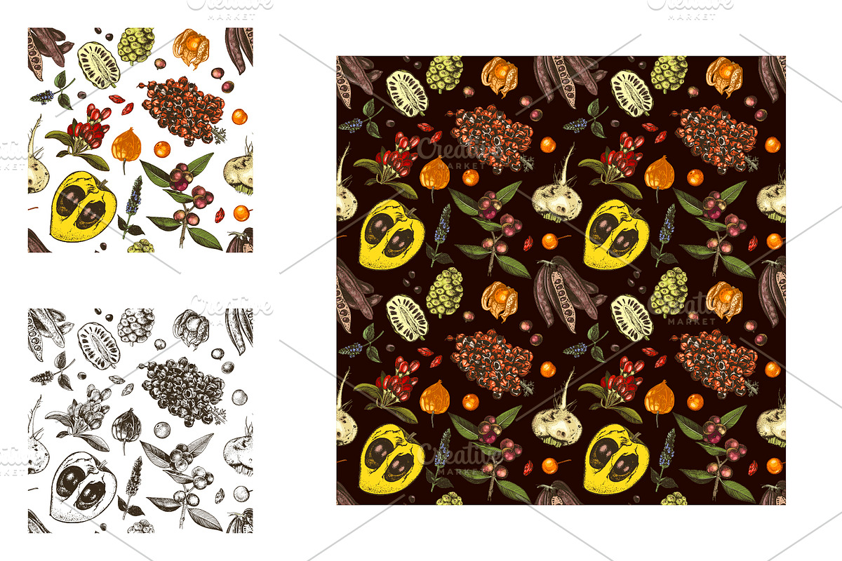 Hand drawn superfood set, a Food Illustration by handsketched (Photo 10 of 10)