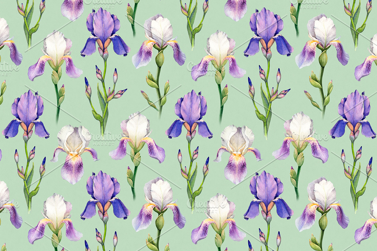 Watercolor iris flowers kit, a Texture Illustration by Sundra (Photo 4 of 9)