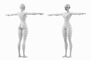 Stylized Female 02 Fine Shape Mesh