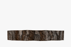 Wood Log Slice Low-Poly