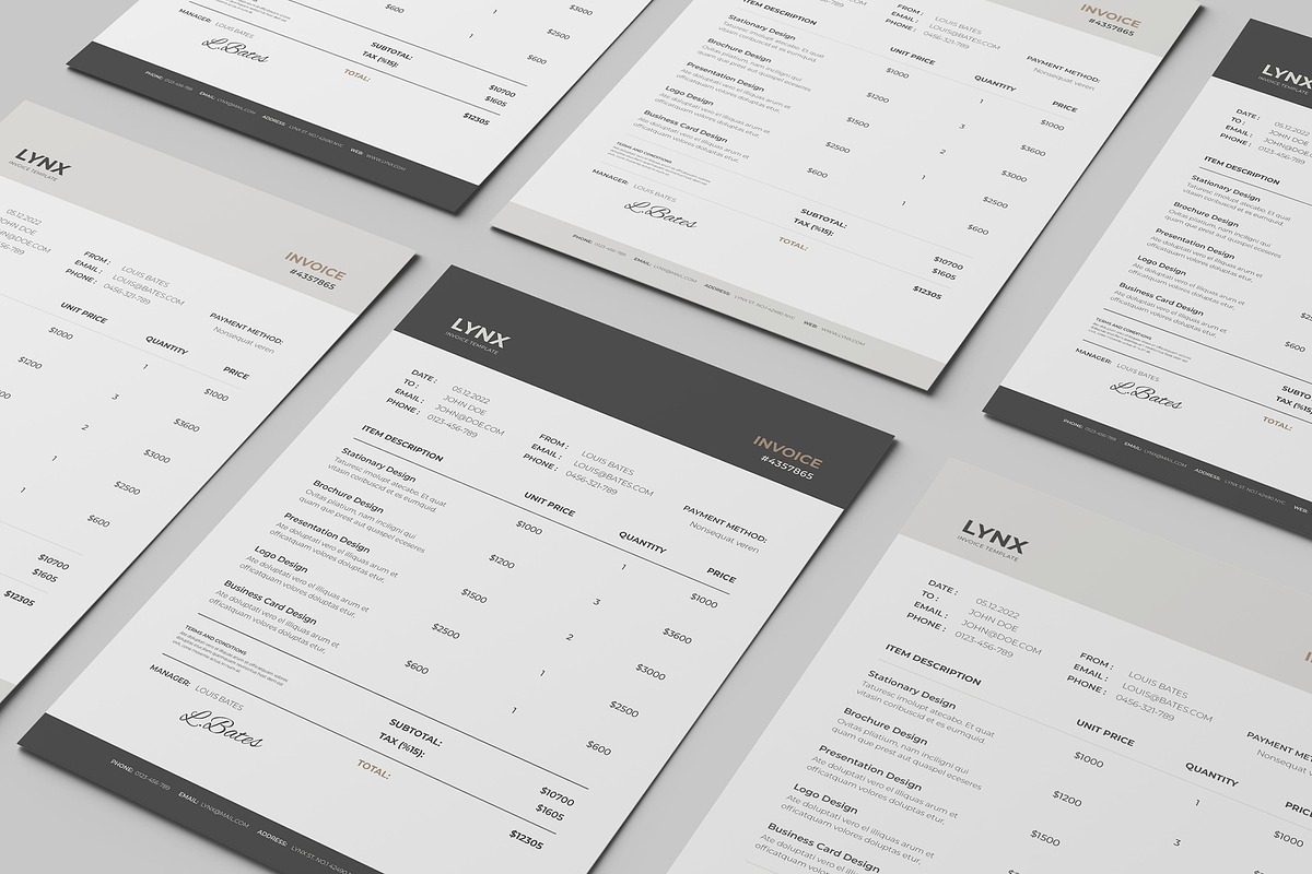 Lynx Publisher Invoice Template, a Stationery Template by SlideStation