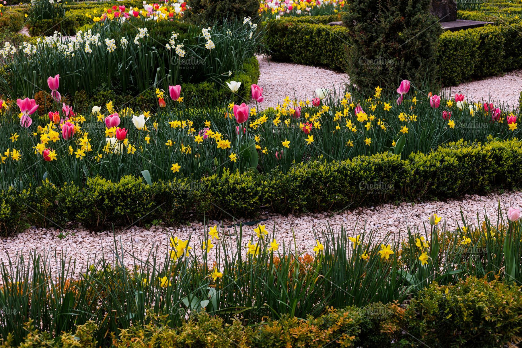 Flower bed with colorful tulips at Miramare Castle in springtime, a Nature Photo by Bepslabor